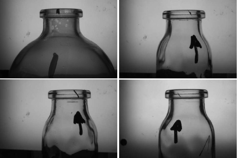 Glass vial inspection